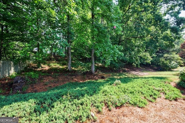 3350 Serenade Ct, Alpharetta, GA 30004 - view of yard with fence