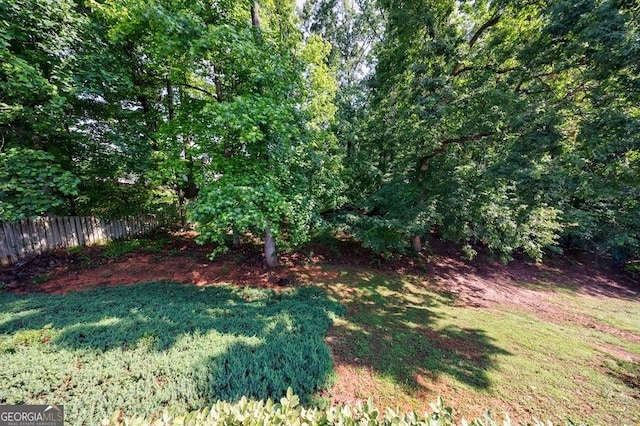 3350 Serenade Ct, Alpharetta, GA 30004 - view of yard