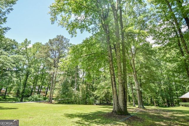 view of green lawn