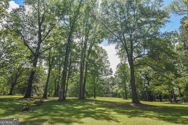 view of undeveloped land