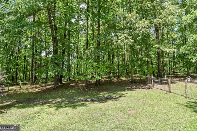 view of yard featuring a gate