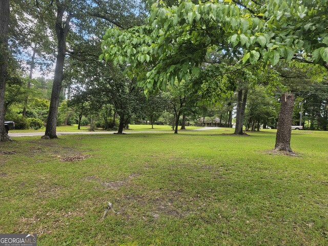 605 Smithville Church Rd, Warner Robins, GA 31088 - view of green lawn with view of wooded area
