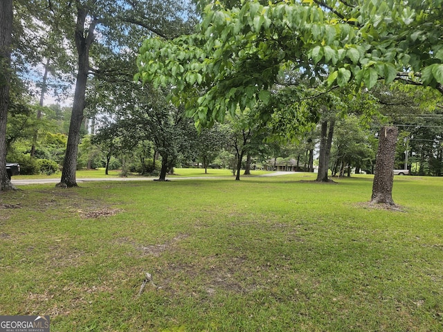 605 Smithville Church Rd, Warner Robins, GA 31088 - view of green lawn with view of wooded area