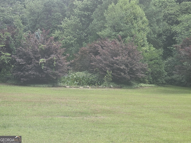 605 Smithville Church Rd, Warner Robins, GA 31088 - view of grassy yard featuring a wooded view