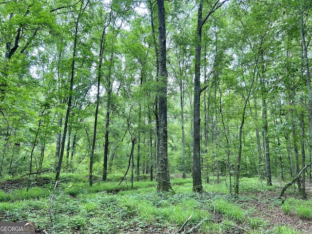 0 Busby Rd, Unadilla, GA 31091