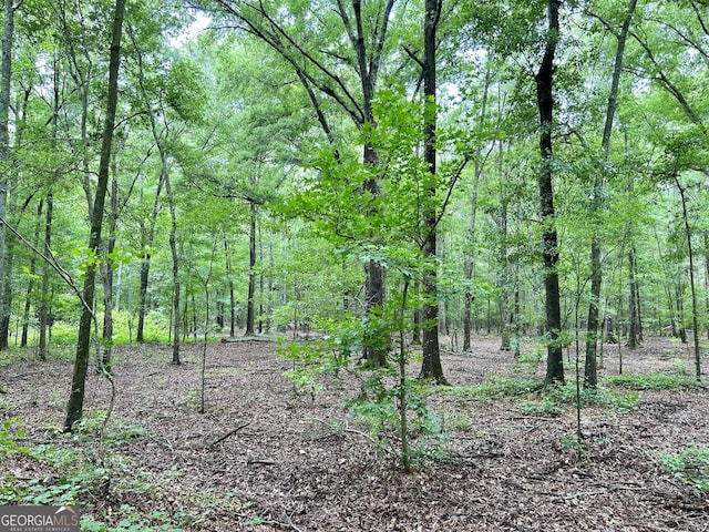 0 Busby Rd, Unadilla, GA 31091
