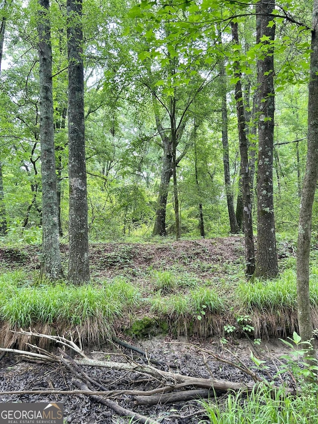 0 Busby Rd, Unadilla, GA 31091