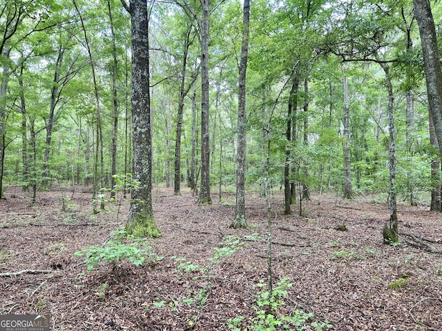 0 Busby Rd, Unadilla, GA 31091