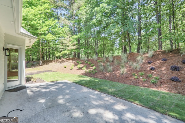 view of yard with a patio area