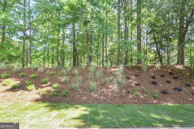 view of undeveloped land