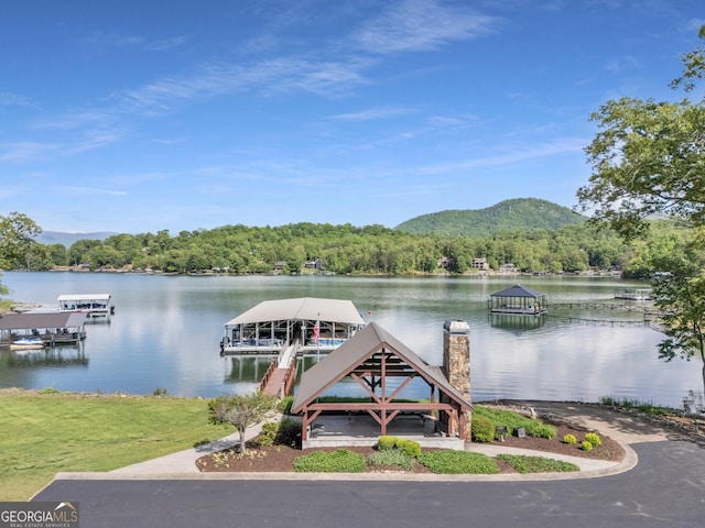 dock area featuring a water view, a view of trees, and boat lift