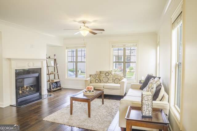 4448 Tacoma Trce, Suwanee, GA 30024 - living area featuring dark wood-style floors, ornamental molding, a ceiling fan, a glass covered fireplace, and baseboards