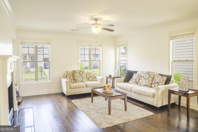 4448 Tacoma Trce, Suwanee, GA 30024 - living room featuring plenty of natural light, a premium fireplace, a ceiling fan, dark wood finished floors, and crown molding