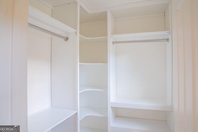 4448 Tacoma Trce, Suwanee, GA 30024 - view of spacious closet