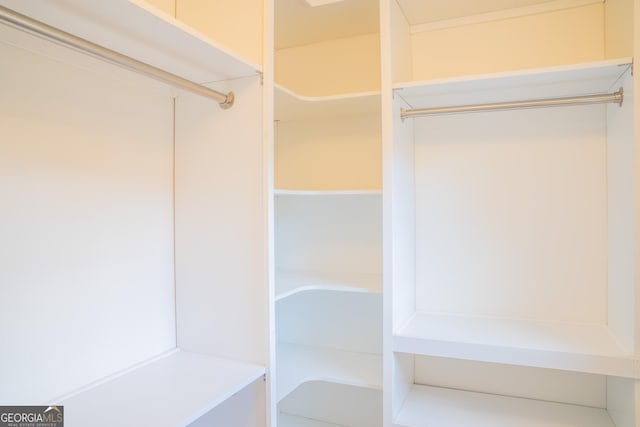 4448 Tacoma Trce, Suwanee, GA 30024 - view of spacious closet