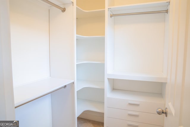 4448 Tacoma Trce, Suwanee, GA 30024 - view of spacious closet