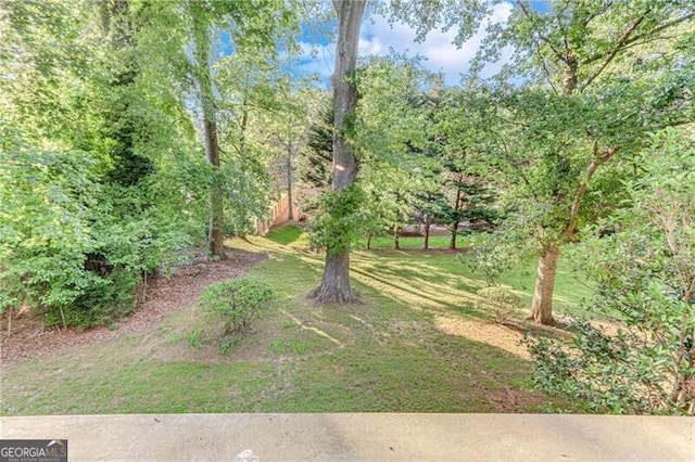 1471 Robinhood Trl, Gainesville, GA 30501 - view of yard