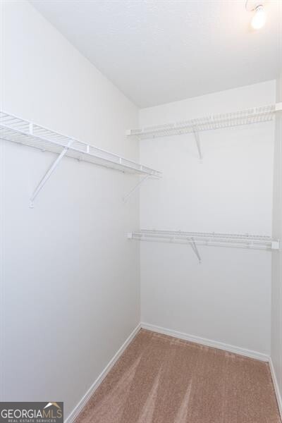 spacious closet with light colored carpet