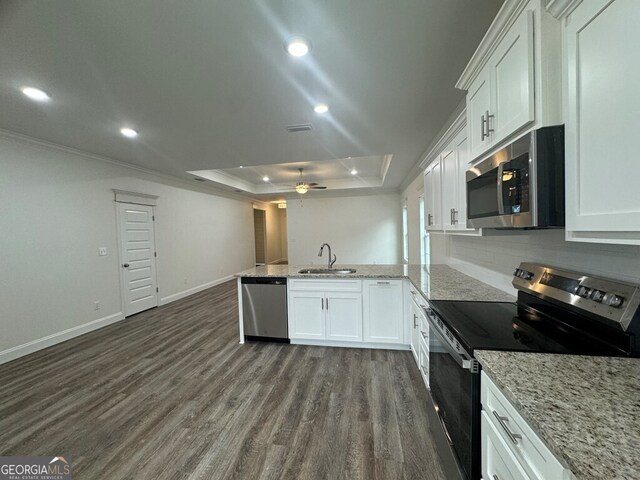 1007 Syrup Mill Creek Ln, Cairo, GA 39828 - kitchen featuring appliances with stainless steel finishes, a sink, a peninsula, a tray ceiling, and dark wood-type flooring