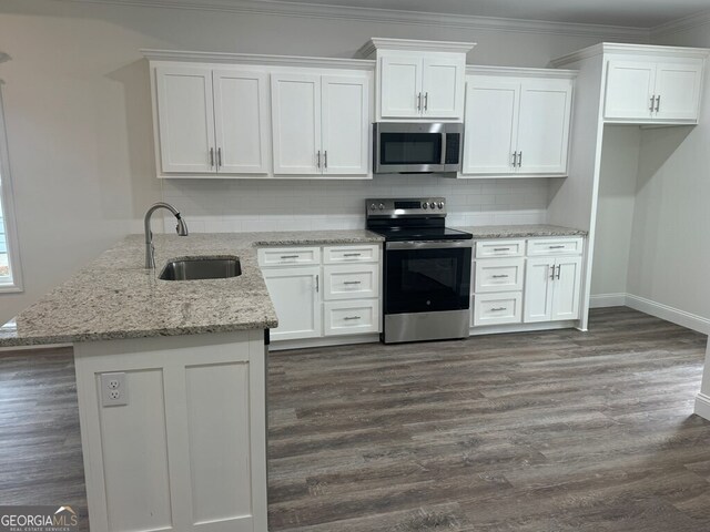 1007 Syrup Mill Creek Ln, Cairo, GA 39828 - kitchen with appliances with stainless steel finishes, a sink, white cabinets, dark wood-style flooring, and ornamental molding