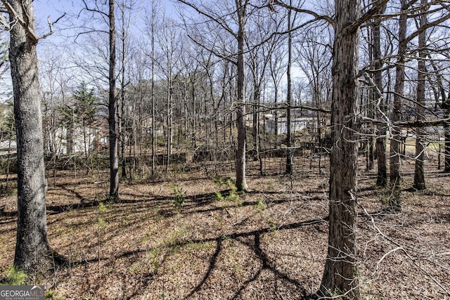 2192 Stenger Rd, Douglasville, GA 30135 - view of local wilderness