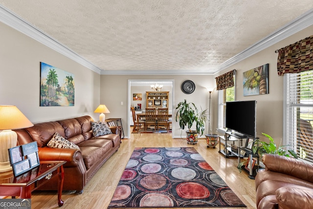 4010 Hamilton Mill Rd, Buford, GA 30519 - living room with a textured ceiling, wood finished floors, a chandelier, and crown molding