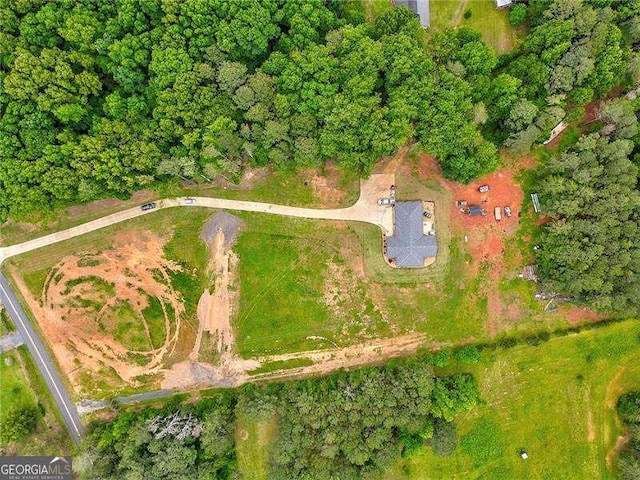drone / aerial view