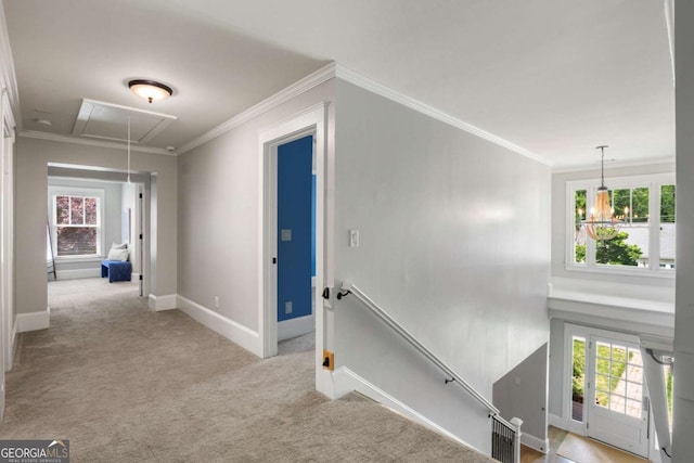 2217 Virginia Pl NE, Atlanta, GA 30305 - hall with attic access, an upstairs landing, light colored carpet, plenty of natural light, and crown molding