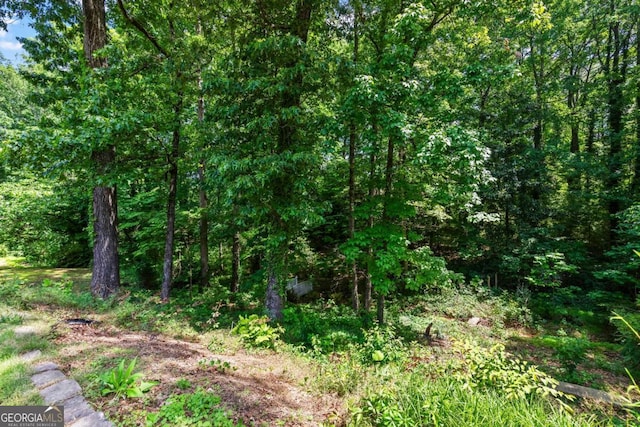3441 Sherrod Dr SW, Marietta, GA 30060 - view of wooded area