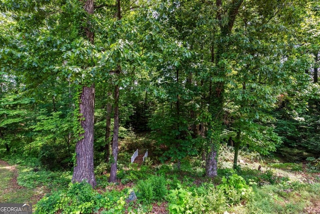 3441 Sherrod Dr SW, Marietta, GA 30060 - view of tree filled area