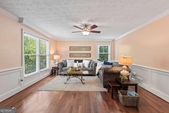 3441 Sherrod Dr SW, Marietta, GA 30060 - living area with plenty of natural light, a ceiling fan, wainscoting, wood finished floors, and a textured ceiling