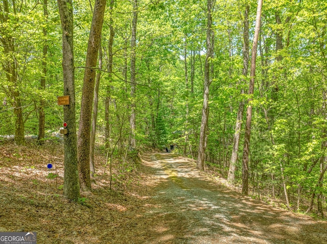 7 Ascherman Ct, Blue Ridge, GA 30513 - view of tree filled area
