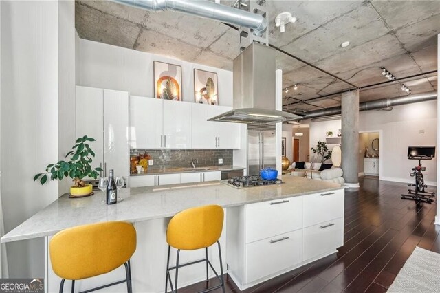 206 NE 11th St NE Unit Ph703, Atlanta, GA 30309 - kitchen featuring stainless steel appliances, dark wood-style floors, island exhaust hood, and decorative backsplash