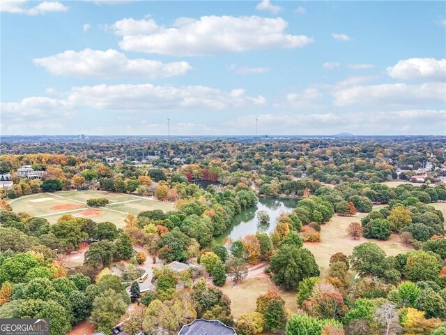 206 NE 11th St NE Unit Ph703, Atlanta, GA 30309 - bird's eye view of a large body of water