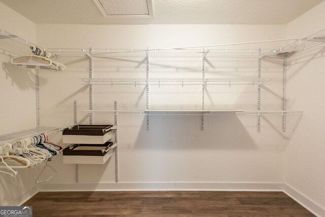 3842 Kay Cir, Blackshear, GA 31516 - spacious closet featuring dark wood finished floors