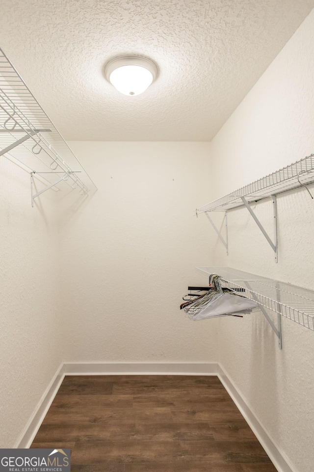 3842 Kay Cir, Blackshear, GA 31516 - spacious closet with dark wood-style floors