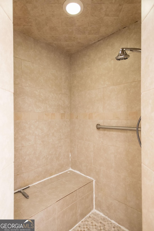 3842 Kay Cir, Blackshear, GA 31516 - bathroom featuring a tile shower