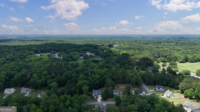 aerial view of a forest