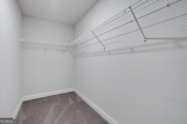 116 Daffodil Lndg, Dallas, GA 30132 - spacious closet with dark carpet