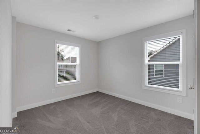 116 Daffodil Lndg, Dallas, GA 30132 - unfurnished room featuring plenty of natural light, carpet floors, and baseboards