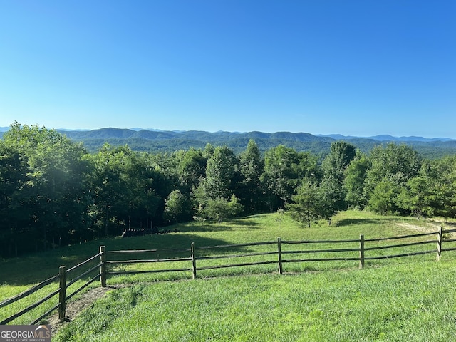 view of yard featuring a rural view and a mountain view