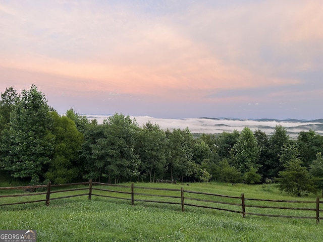 view of yard with a view of rural / pastoral area