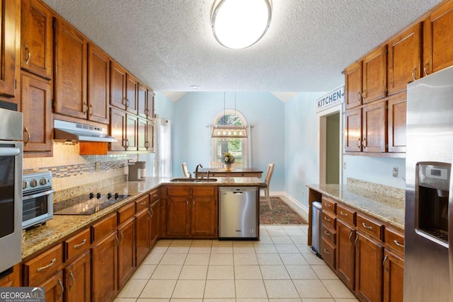 836 Palmetto Tyrone Rd, Sharpsburg, GA 30277 - kitchen with appliances with stainless steel finishes, under cabinet range hood, a sink, backsplash, and a peninsula