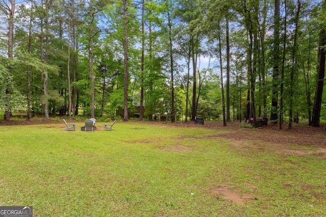 836 Palmetto Tyrone Rd, Sharpsburg, GA 30277 - view of grassy yard