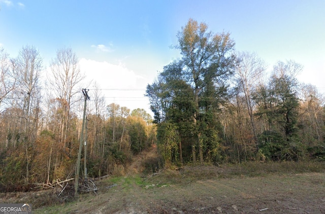 1587 Ga Highway 23 S, Waynesboro, GA 30830