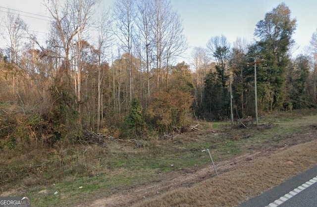 1587 Ga Highway 23 S, Waynesboro, GA 30830