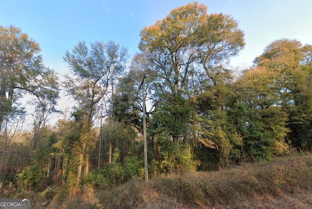 1587 Ga Highway 23 S, Waynesboro, GA 30830