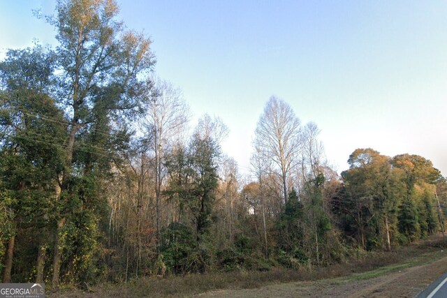 1587 Ga Highway 23 S, Waynesboro, GA 30830