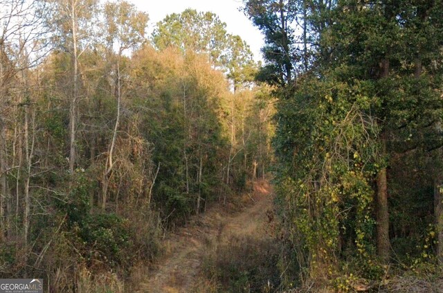 1587 Ga Highway 23 S, Waynesboro, GA 30830