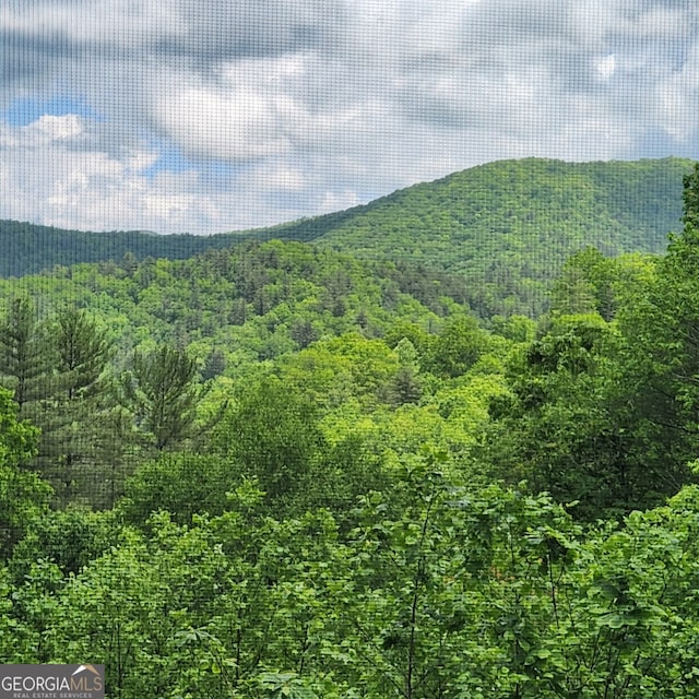 8578 Soapstone Creek Cir, Hiawassee, GA 30546 - view of mountain backdrop with a forest
